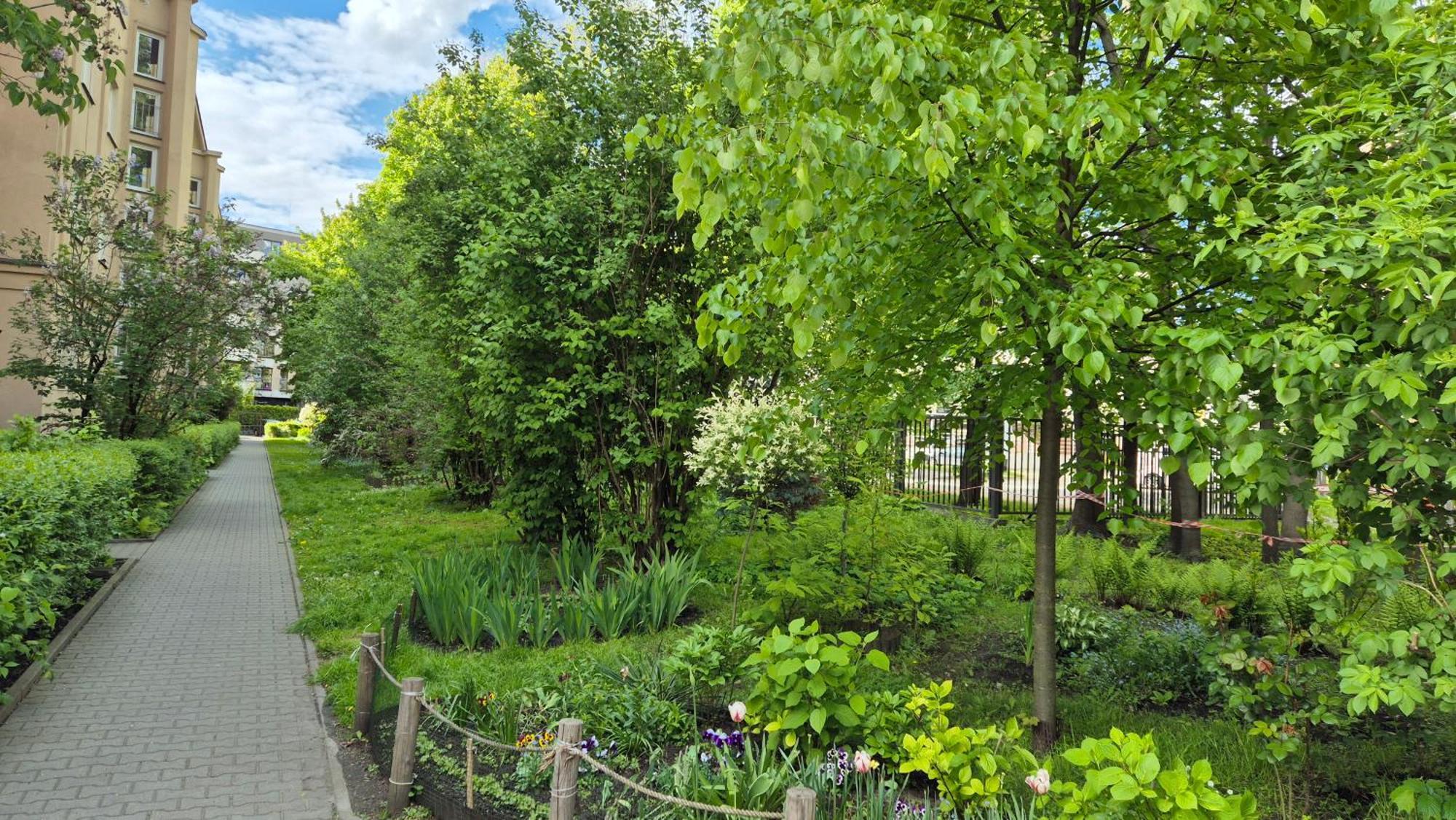 Apartament Daszynskiego Krakkó Kültér fotó